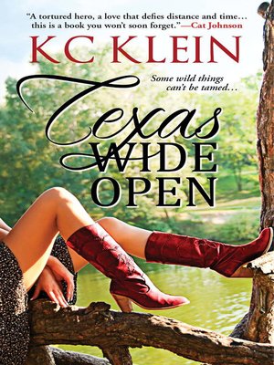 cover image of Texas Wide Open